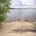 Badestelle für Floki am Zwenkauer See