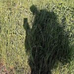 Handy-ich-Kraxe-Schatten