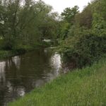 die Weiße Elster bei Crossen